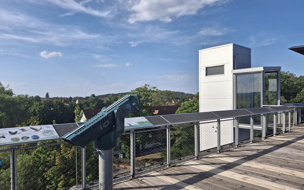 Premnitz – auf der Plattform, Foto: terra press