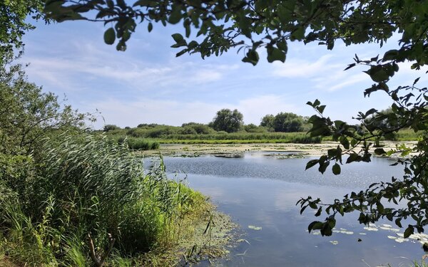 Premnitzer See, Foto: terra press
