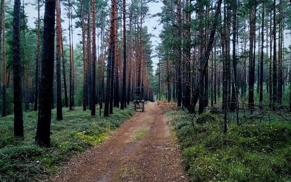 Wanderweg Richtung Schweinert, Foto: VoodooMan33, pixabay.com
