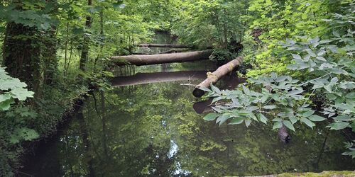 Bürgerbusch, Nuthebrücke, Foto: terra press