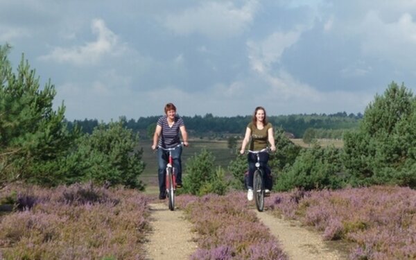 Mit dem Fahrrad durch den Naturpark Niederlausitzer Heidelandschaft, Foto: Dietmar Seidel