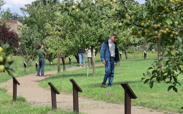 Besucher im Pomo-Garten Döllingen, Foto: Andrea Opitz