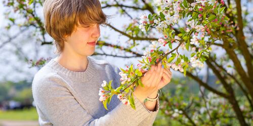 Frühlingsblüte Pomo-Garten Döllingen, Foto: LKEE Andreas Franke