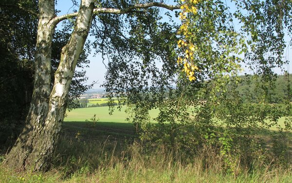 Auf dem Wanderweg zum höchsten Berg Brandenburgs  Amt Ortrand