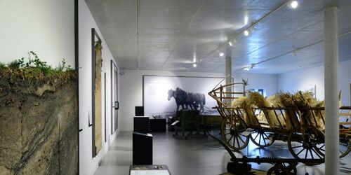 Ausstellung, Foto: BARNIM PANORAMA/Kienzle