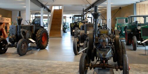 Trakoren-Herde - Ein Blick in die Ausstellung, Foto: BARNIM PANORAMA