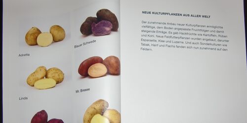 Kartoffelsorten aus aller Welt, Foto: TMB/Heidi Walter