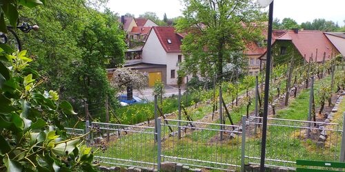 Am Rittergut Taucha  Förderverein Schloss Taucha e.V.