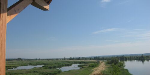 Aussicht ins Untere Odertal vom Aussichtsturm bei Mescherin, Foto: Alena Lampe