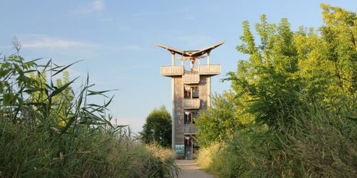 Aussichtsturm bei Mescherin, Foto: Alena Lampe