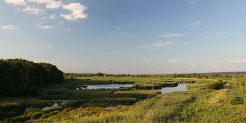 Aussicht vom Aussichtsturm bei Mescherin, Foto: Alena Lampe