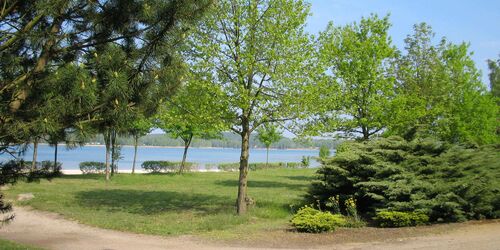 Strand am Grünewalder Lauch, Foto: Stadt Lauchhammer