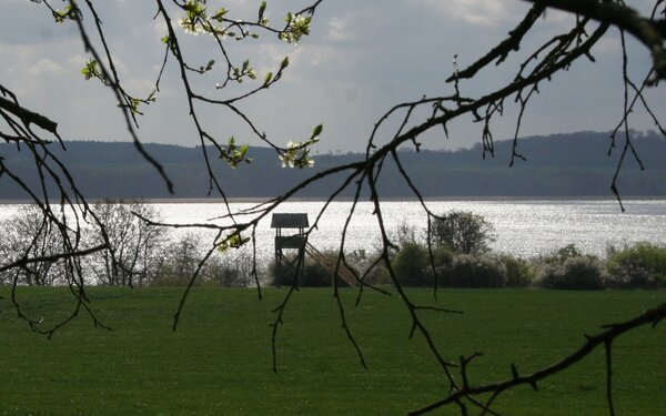 Aussichtsturm am Malchiner See, Foto: Stadt Malchin