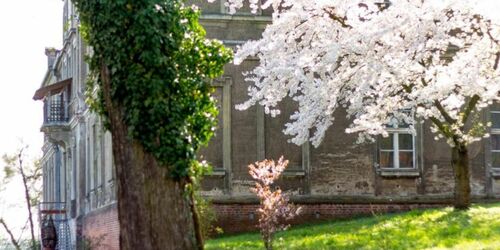 Schloss Plaue, Foto: Schloss Plaue