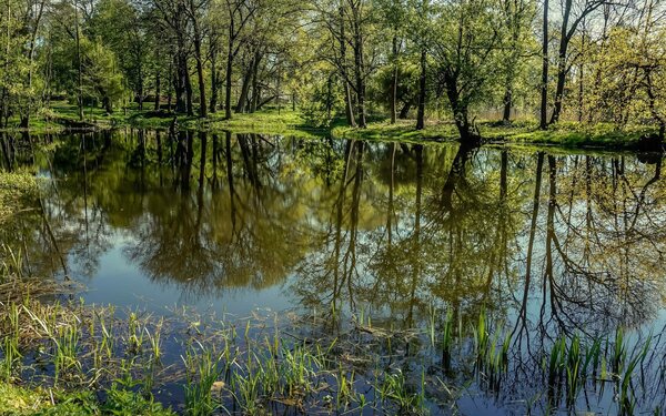 Schlosspark Plaue, Foto: Dr. Gunter Dörhöfer