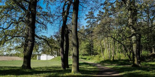 Schlosspark Plaue, Foto: Dr. Gunter Dörhöfer