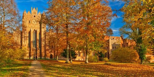 Goldener Herbst_Kloster Chorin, Foto: TMB-Fotoarchiv/Frank Liebke
