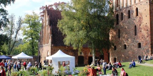 Kräuter-und Keramiktage im Kloster Chorin, Foto: Ulrike Schuhose/Kloster Chorin