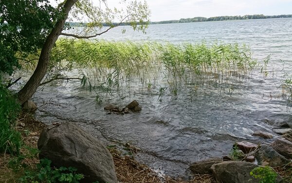 Am Parsteiner See  Wegewart WITO Barnim