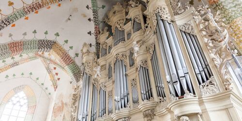 Nikolaikirche Jüterbog - Orgel, Foto: J. Marzecki