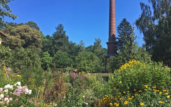 Naturschutzzentrum Ökowerk Berlin im Sommer, Foto: Naturschutzzentrum Ökowerk Berlin e. V.