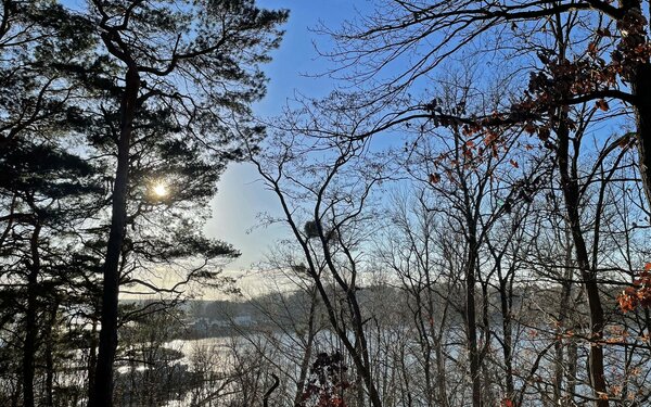 Blick vom Grunewald auf die Insel Schwanenwerder, Foto: terra press GmbH