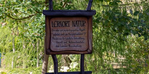 Museum des Teltow, Lernort Natur, Foto: TMB-Fotoarchiv/ScottyScout