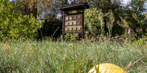 Natur entdecken im Museum des Teltow, Foto: TMB-Fotoarchiv/ScottyScout