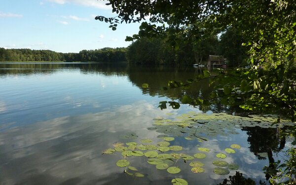 Der Prälanksee, Foto: Nationalparkamt Müritz