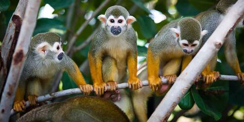 Exotische Welten – der Zoo Leipzig