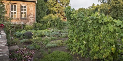 Klostergarten, Foto: Spessart Tourismus und Marketing GmbH