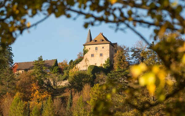 Burg Brandenstein bei Schlüchtern, Foto: Tews