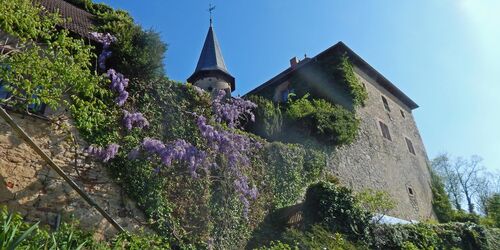 Burg Brandenstein, Foto: Uwe Kretschmann