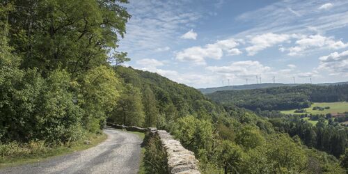 Weg zur Burg Brandenstein, Foto: Spessart Tourismus und Marketing GmbH