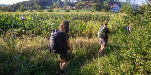 Der Birglandtrail