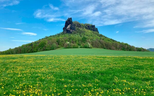 Lilienstein im Frühling, Foto: Peggy Nestler, Lizenz: TV Sächsische Schweiz