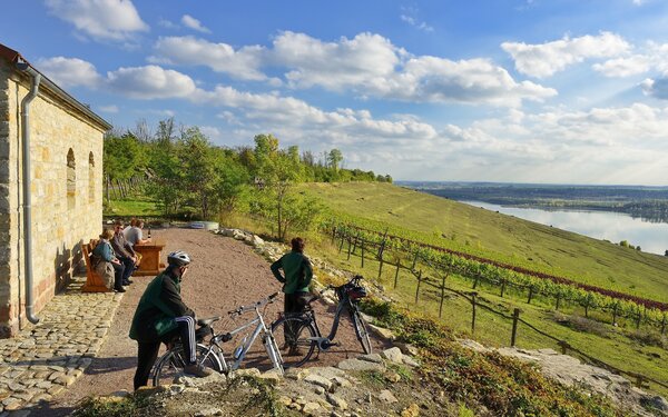 Weinberg Goldener Steiger, Foto:  Andreas Vitting, Lizenz: Weinbau am Geiseltalsee