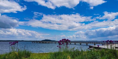 Seebruecke Braunsbedra, Foto:  Sabine Foertsch, Lizenz: Geiseltal Tourismus