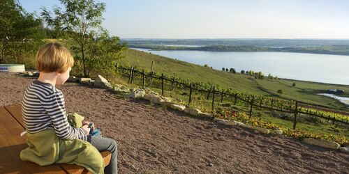 Kind am Weinberg, Foto: Andreas Vitting, Lizenz: Weinbau am Geiseltalsee