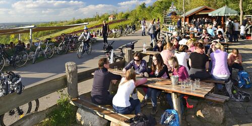 Radler am Weinberg, Foto: Andreas Vitting, Lizenz: Weinbau am Geiseltalsee