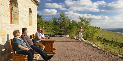 Weinberg Goldener Steiger, Foto: Andreas Vitting