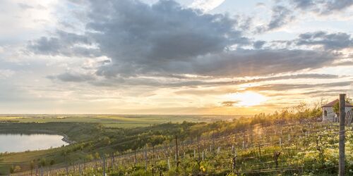 Sonnenuntergang am Geiseltalsee, Foto: Sven Runkel