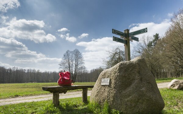 Wanderweg im Hohen Fläming, Foto: TMB-Fotoarchiv/Steffen Lehmann