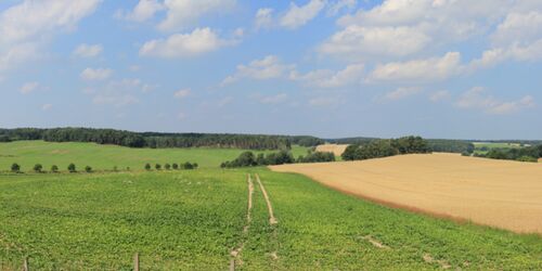 Aussicht vom Wasserwerk, Foto: Bansen/Wittig