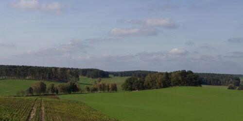 Panoramablick Garrey, Foto: Bansen/Wittig