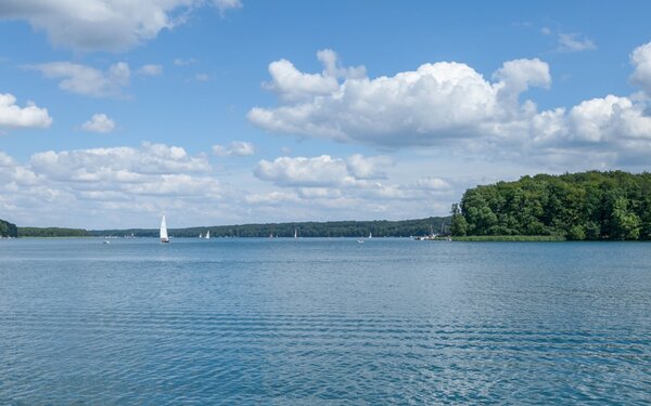 Werbellinsee