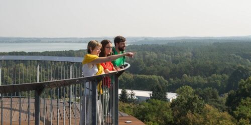 Ausblick von der Aussichtsplattform BIORAMA-Projekt