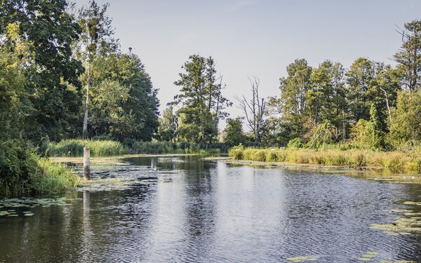 An Ücker und Randow in Eggesin , Foto: Philipp Schulz, Lizenz: TVV