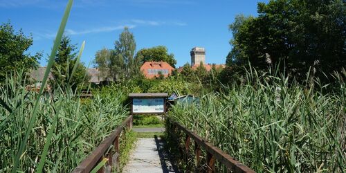 Finower Wasserturm, Foto: Jan Hoffmann