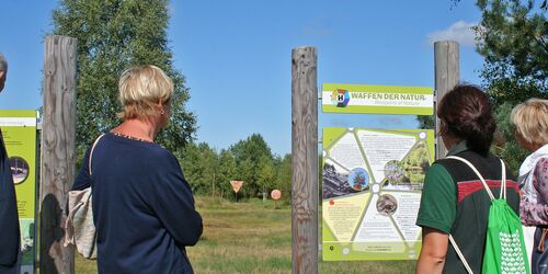 Entdeckerpfad Rostocker Heide, Foto: Stadtforstamt Rostock/Angelika Stoll